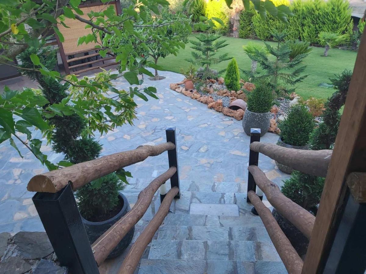 Dimitris' Villas - Villa 1 Όρμος Παναγιάς Εξωτερικό φωτογραφία